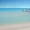 양재동부점 현대자동차 이미지