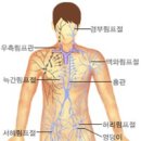 모던필라테스양재우면점