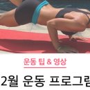 랜플랜 이미지