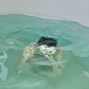 청운몽 | 청평호수가 한눈에! 가평 리버뷰 독채 풀빌라 청운몽 솔직 후기