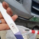 다사 다이소 앞 이미지