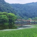 원남저수지 둘레길 이미지