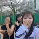 엔아이에스 네이버블로그
