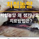 뿌리동물병원 치과센터 이미지
