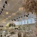 [Wedding] 제이아트 알루체홀 계약 후기