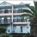 뜨레피아 이미지