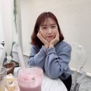 카페리보키 이미지