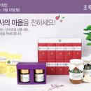 초록마을대전 이미지