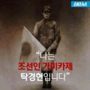 카미카제 이미지