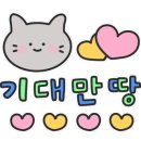 뽀뽀뽀유치원(어린이집) 이미지