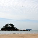 소분점도