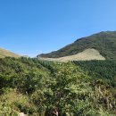 소모천천 이미지