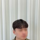 라비 헤어 이미지
