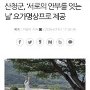 아쉬탕가요가진주