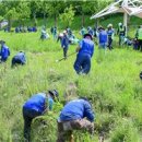 수영강변 이미지