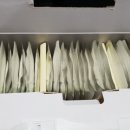 해풍양만영어조합법인