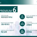 벤처벨리네거리 이미지