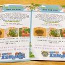 풍암태권도체육관 이미지