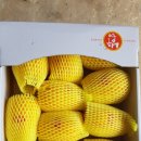 주영농장 이미지