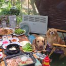 원당식당 - 고양시 덕양구 | 원당식당