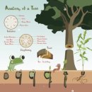 무성햇빛발전소 | < 숲에서 우주를 보다 > - 데이비드 조지 해스컬