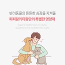 퍼피키티 이미지