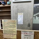 파주 아이와 가볼만한곳 미어캣 프랜즈 방문후기