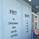 부티나개 이미지