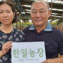 복덩이한우 이미지