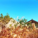 황토한옥펜션 이미지