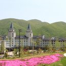 하이원 CC사우나 이미지