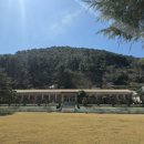 원량초등학교연화분교장 이미지