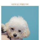한잎꼬마김밥 이미지