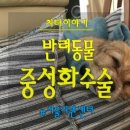 가양쿨펫동물병원 이미지