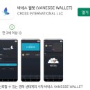 바네스(VANESSE) 이미지