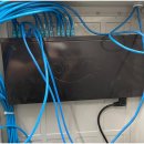 대성네트워크 이미지