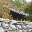 풍일로(풍천면) 이미지