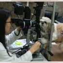 금촌종합동물병원 이미지