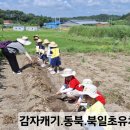 대파니 힐링팜 이미지