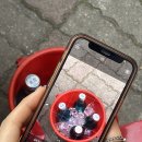 정다운포차 이미지