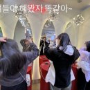 또와조아 이미지