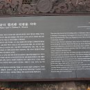 의령 서동리 함안층 빗방울 자국 Daum카페