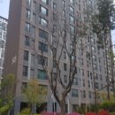 역동초등학교 이미지