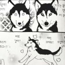 돈앤사랑 이미지