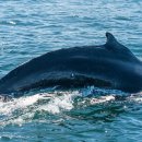 울진해양경찰서 후포파출소 이미지