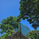 세종대학교 일반대학원 | 세종대 일반대학원 호텔관광경영학과, 경희대 일반대학원 컨벤션전시경영학과 지원 및 합격!