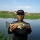 청천 배수장 이미지