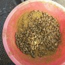 천국나무농원 이미지