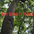 예전 때삼지 목청답사 꽝산행.108 (원본 약초 매니아 카페) 이미지