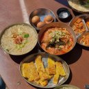 불사조 | 불사조여행단, 마이스토리돌과 담양 로컬 여행을 진행하다